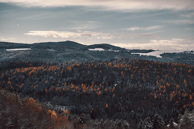 scenic