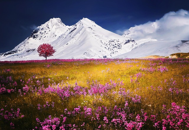 scenic