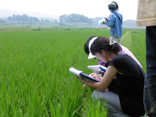 screening-640x480-60520802.jpeg
