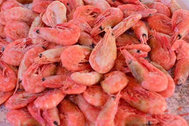 seafood