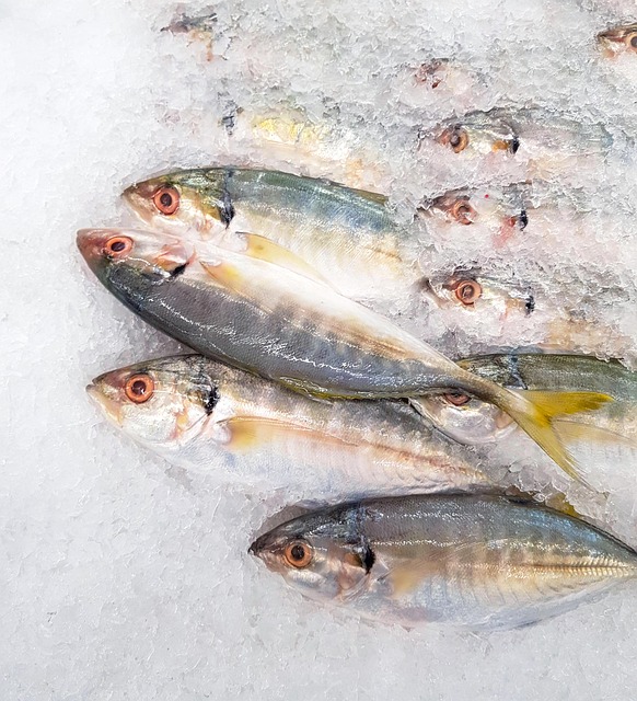 seafood