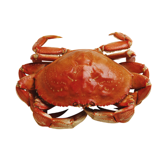 seafood-640x480-94232651.png