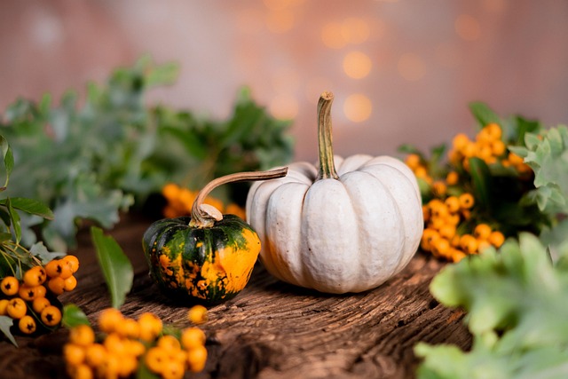 seasonal-640x480-73568357.jpeg