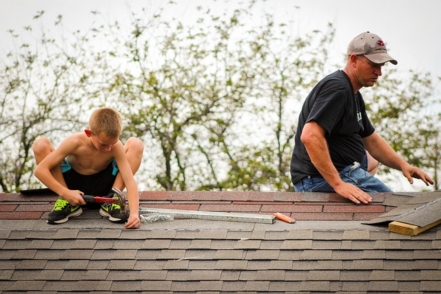 shingle roof