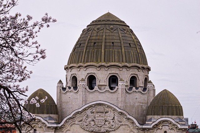 shingle roof