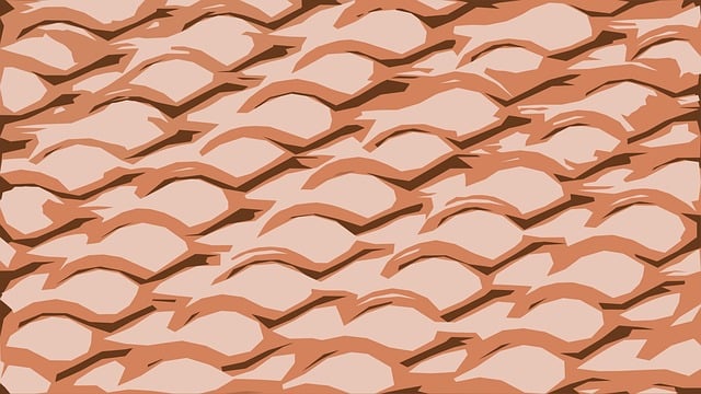 shingle roof