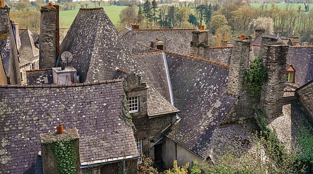 shingle roof