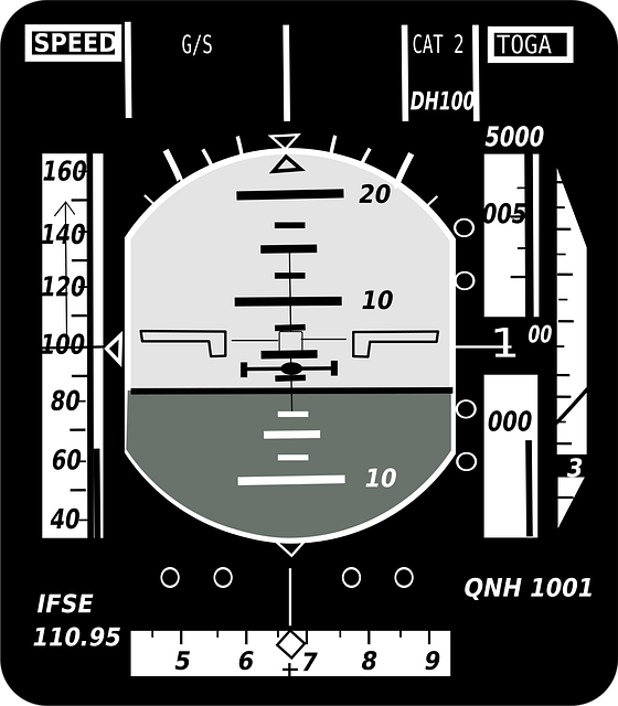 simulator