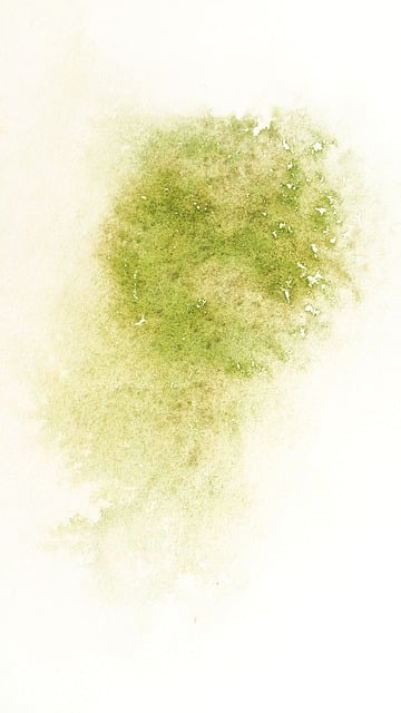 stains