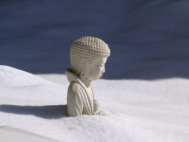statutes