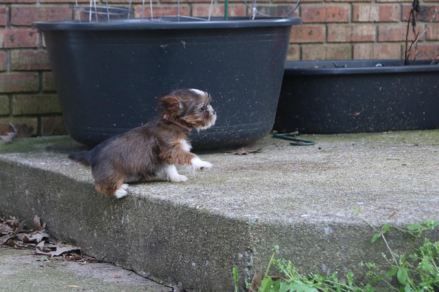 steps-640x480-6420121.jpeg