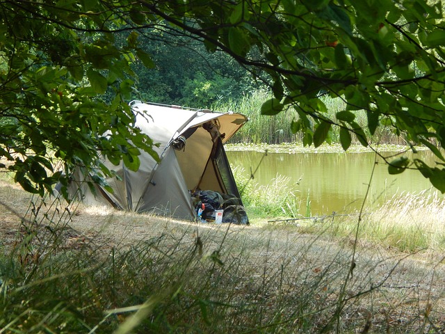tents