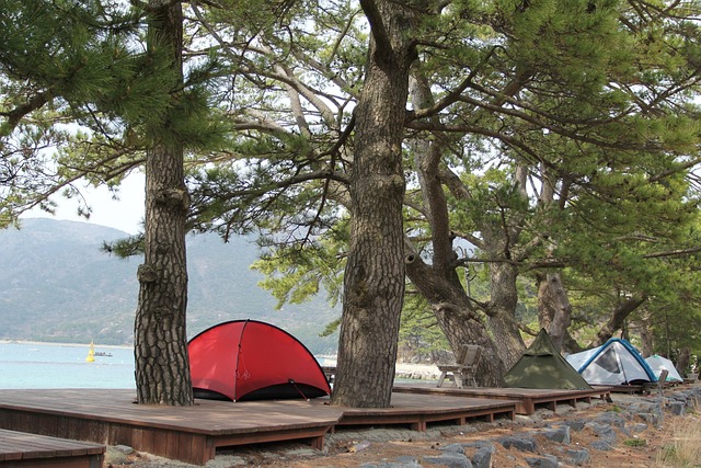 Tents