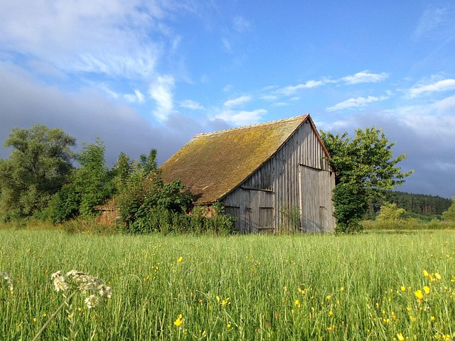 tile roof
