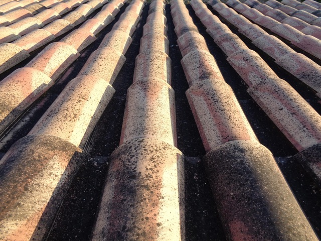 tile roof