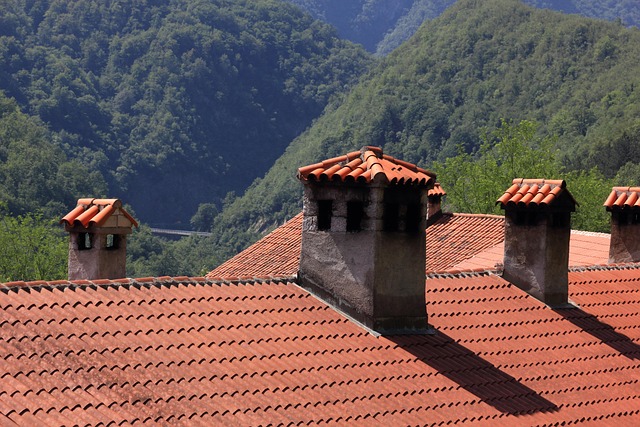 tile-roof-640x480-4389367.jpeg