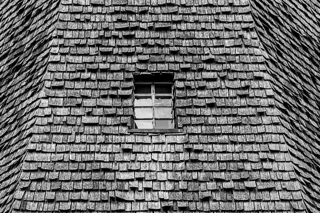 timber-640x480-57415151.jpeg