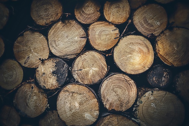 timber