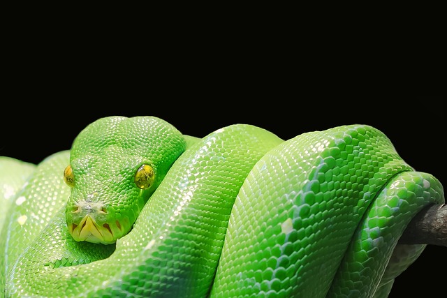 toxic