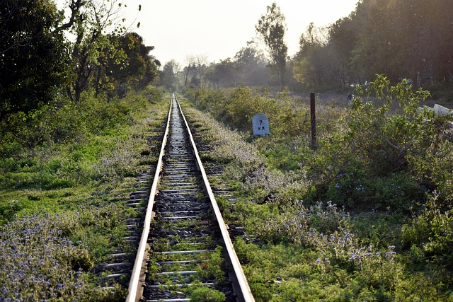 track