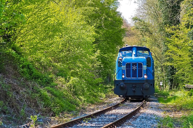 tracks