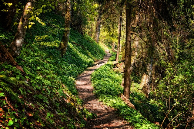 trail-640x480-41533728.jpeg