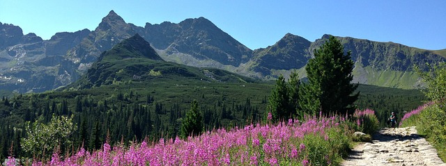 trail-640x480-84327387.jpeg