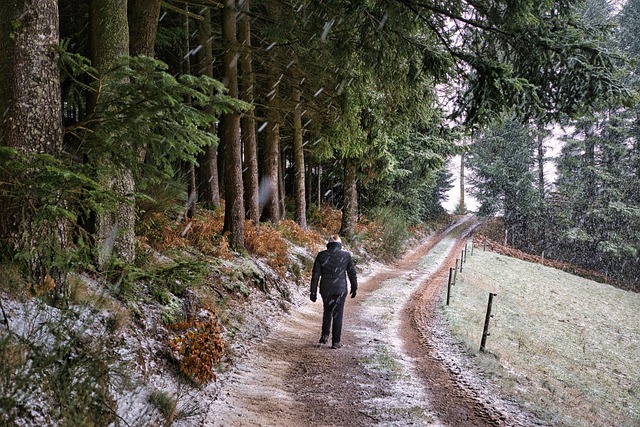 trails
