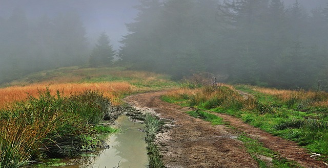 trails-640x480-67131495.jpeg