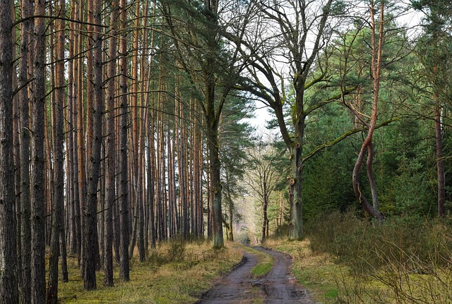 trails-640x480-88588548.jpeg
