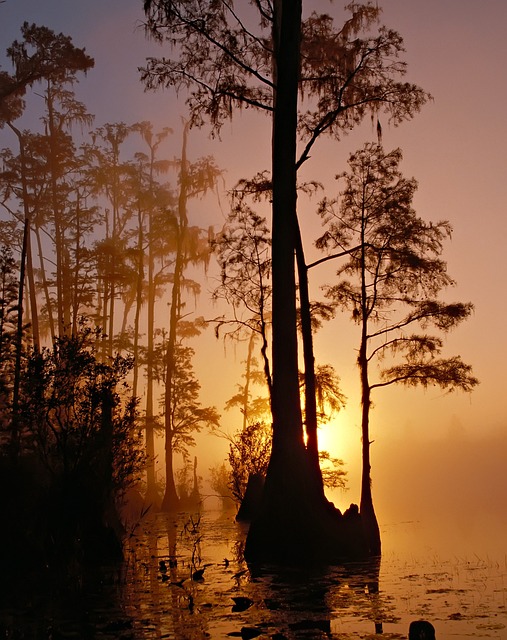 tranquility