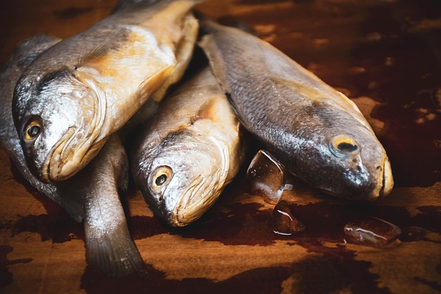 trout-640x480-18860052.jpeg