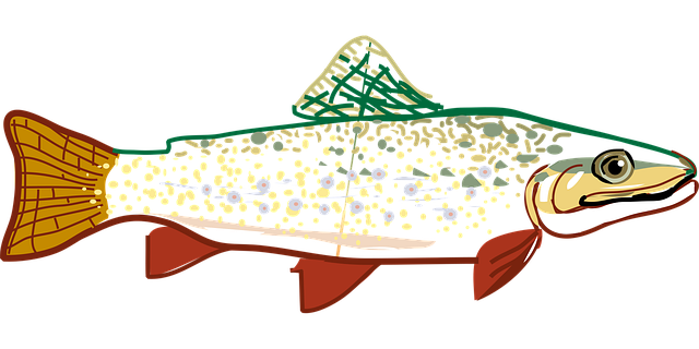 trout