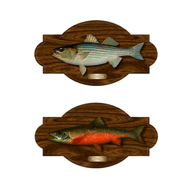 trout