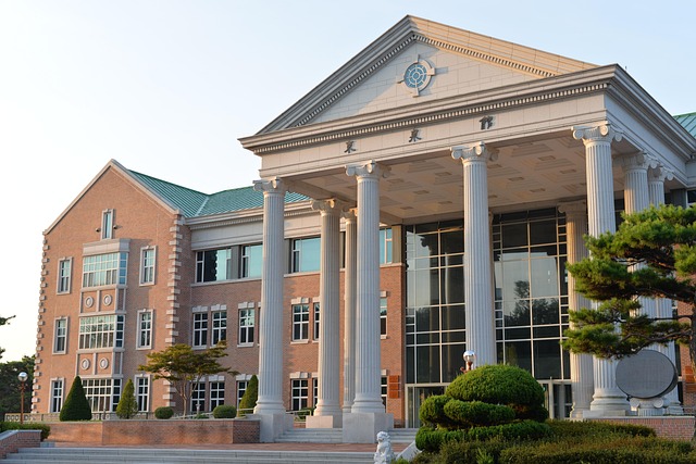 university