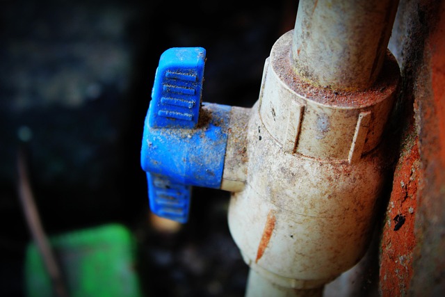 valve