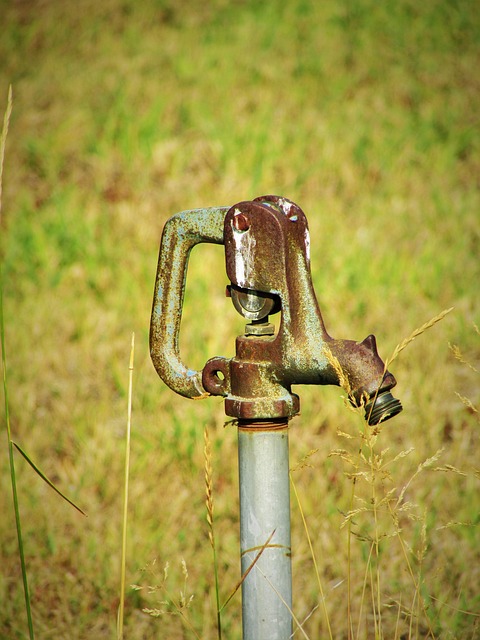 valve