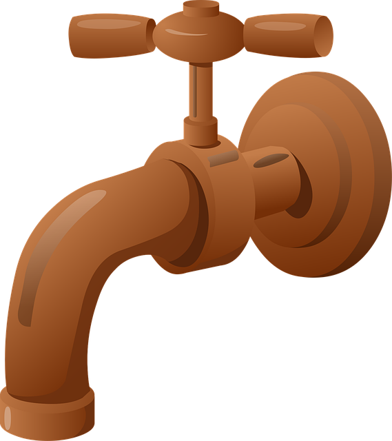 valve