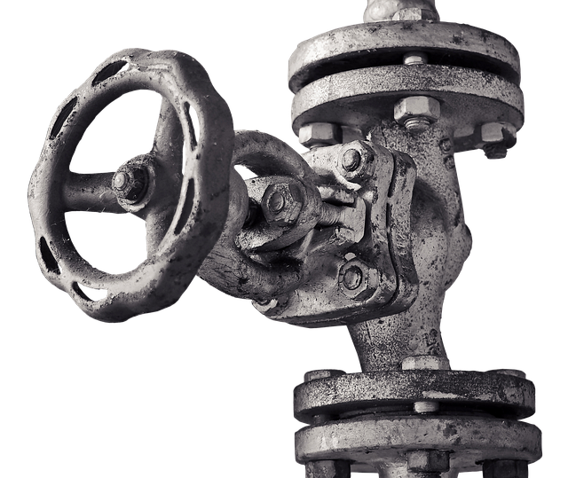valve