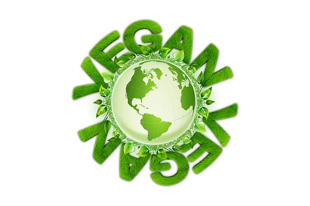 vegan-640x480-55741348.jpeg