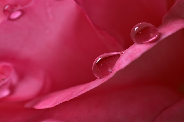 water-640x480-36809500.jpeg