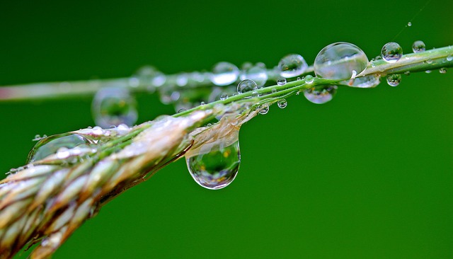 water heater