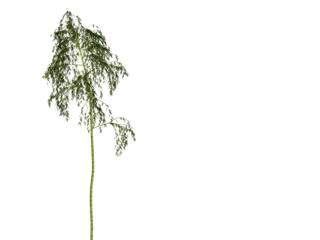 wellness-640x480-51386172.png