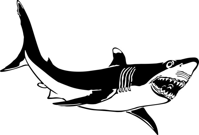 white-teeth-640x480-49687145.png