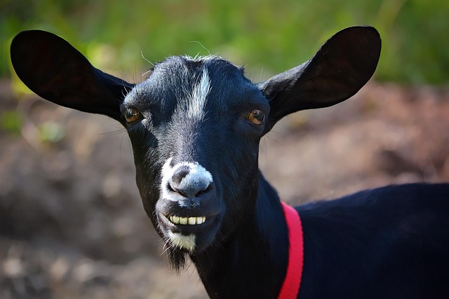 white-teeth-640x480-93288875.jpeg