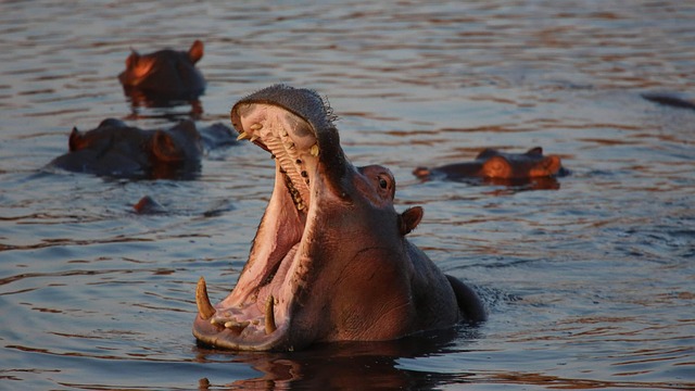 white-teeth-640x480-97774836.jpeg