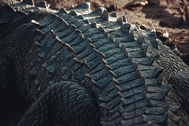 wildlife