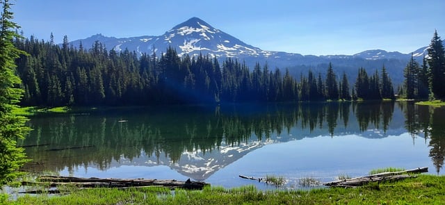 Willamette