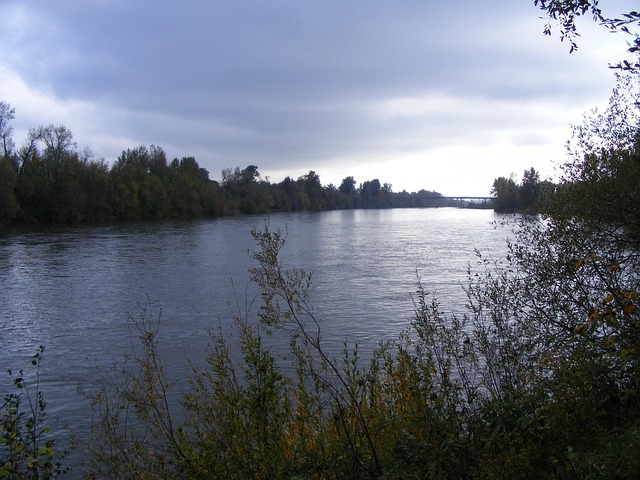 Willamette