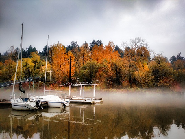 Willamette